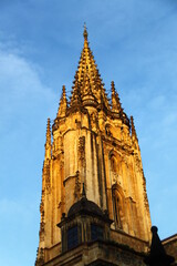 catedral de oviedo © Joseandres