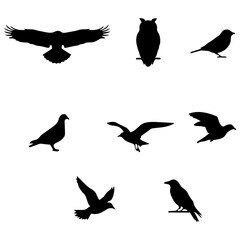 Fototapeta premium Flying and Perching Birds Black Silhouette Set