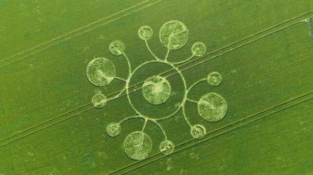 Aerial spin footage of a mysterious, intricate, geometric crop art, crop circle formation in a barley field near White Sheet Hill, White Sheet Downs, Mere, Wiltshire, England, UK; 22 May 2026