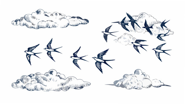 Swallows and clouds a hand drawn vector illustration with a sketched vintage aesthetic
