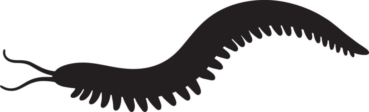 Black Silhouette Centipede Vector, Insect Icon, Arthropod Illustration, Creepy Crawly Graphic, Segmented Body Design, Antennae Detail, Minimalist Bug Art