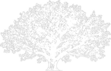 Obraz premium Architectural drawing of ancient tree, line art representation, intricate branches and trunk, detailed foliage, nature's blueprint, artistic cad design, organic form, detailed sketch, vector