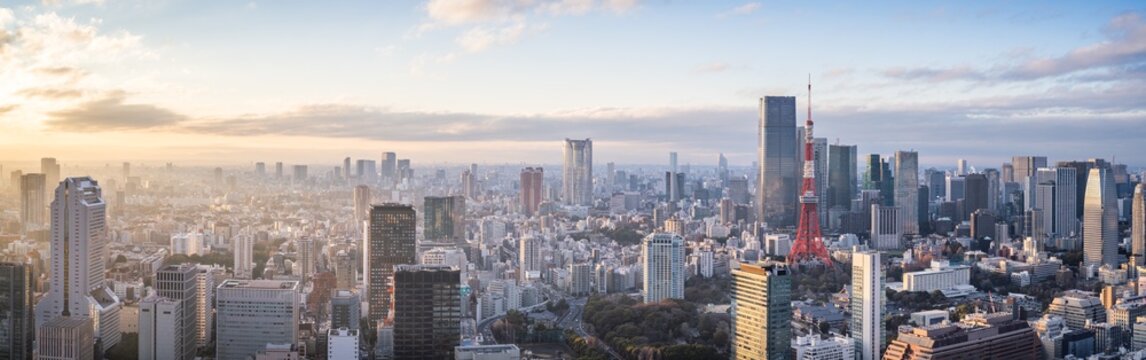 Tokyo skyline panorama at sunset, Tokyo, Japan