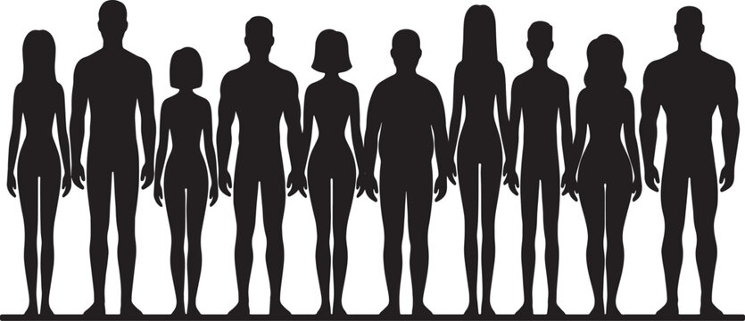 Diverse Human Silhouettes Collection, Male and Female Figures, Variety of Body Types and Heights, Black and White Vector Graphic for Size Comparison and Representation