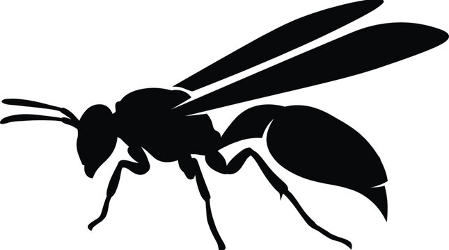 Black wasp silhouette icon isolated on white background profile view of stinging insect for commercial logo design
