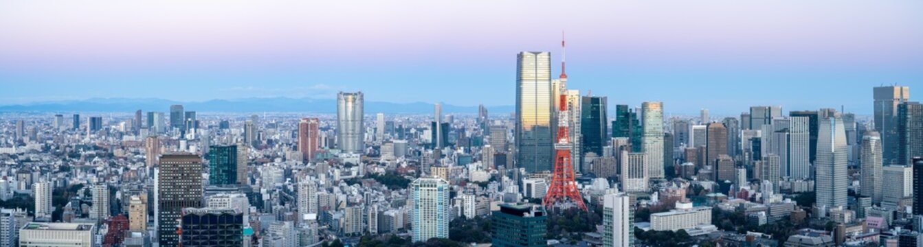 Tokyo skyline panorama, Tokyo, Japan