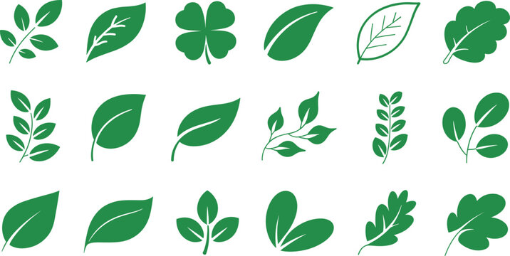 Green leaves silhouette vector icon set with minimalist eco foliage shapes and botanical elements on white background
