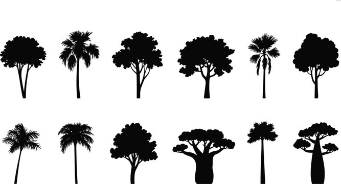 Tropical tree silhouettes vector set with palm and baobab black isolated shapes for graphic design elements