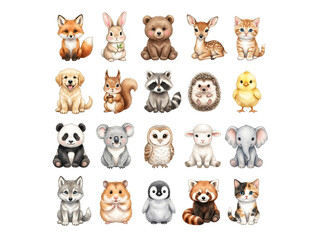 Fototapeta premium Adorable baby animal collection