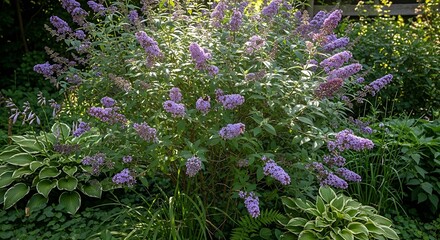Obraz premium Beautiful purple flowers and green leaves in a garden setting outdoor plants