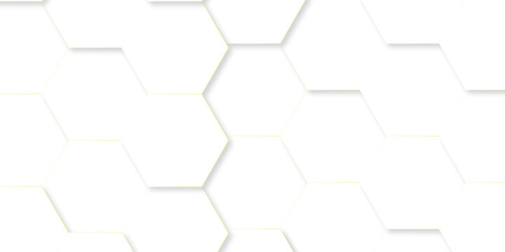 Vector abstract minimal white grid metal hexagon background. Embossed Hexagon, honeycomb white mosaic cell web light shadow texture wall decoration wallpaper design.