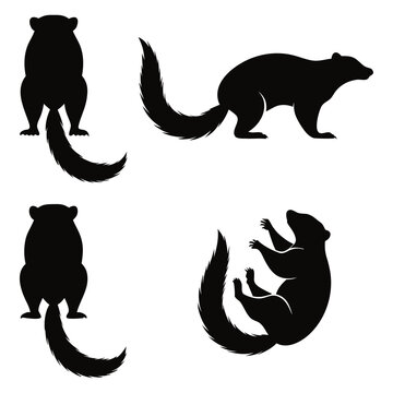 Mongooses silhouettes in various poses and views isolated on white.