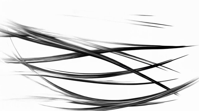 Panning shot of abstract black ink strokes sweeping across white background from left to right with increasing density