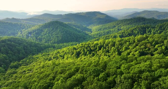 Morning landscape of summer forest on Appalachian mountain hills in North Carolina. Summertime landscape of beautiful nature