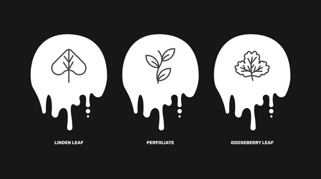 nature icon set with linden leaf, perfoliate, gooseberry leaf signs in flat outline style