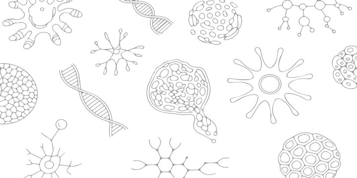 Seamless floral pattern with flowers and leaves in a decorative nature design featuring butterflies and shells