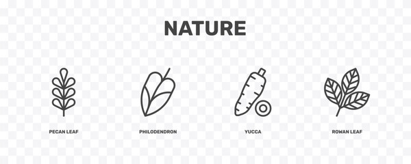nature icon set with pecan leaf, philodendron, yucca, rowan leaf signs in flat outline style © Abstract