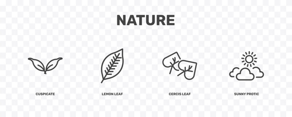 nature icon set with cuspicate, lemon leaf, cercis leaf, sunny protic signs in flat outline style © Abstract