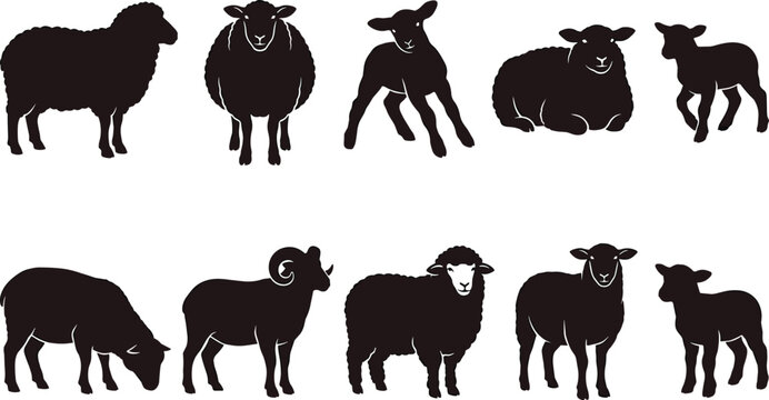 Set of Sheep and Lamb Silhouettes Featuring Rams Ewes and Lambs in Various Poses for Farm Animal Graphics Agriculture Projects and Rural Nature Designs