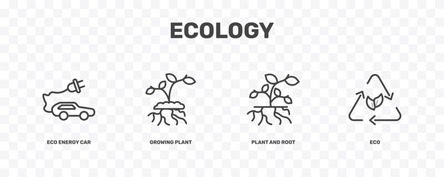 ecology icon set with eco energy car, growing plant, plant and root, eco signs in flat outline style