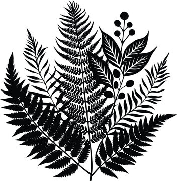 Black silhouette of mixed ferns and berries on white background
