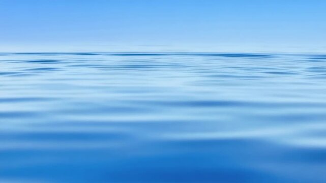 Underwater dolphin pod swimming in clear blue ocean