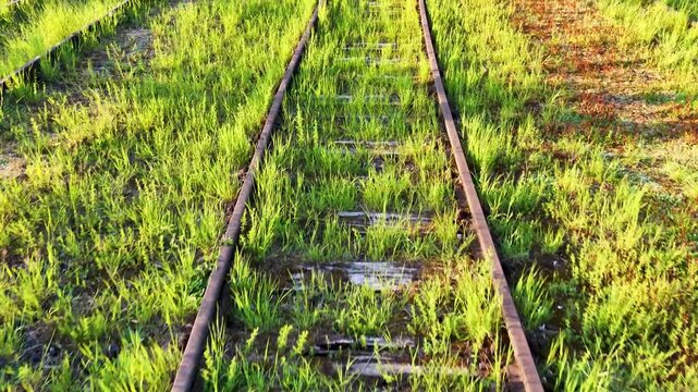 Ein von saftigem Gr&uuml;n &uuml;berwachsenes Bahngleis im Landschaftspark Duisburg-Nord zeigt, wie sich die Natur alte Industriefl&auml;chen im Ruhrgebiet friedlich zur&uuml;ckerobert.