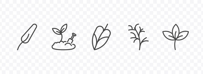 nature icon set with subulate, farming, cypress leaf, straberry leaf signs in flat outline style © Abstract