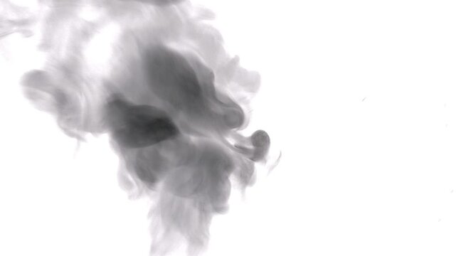 Authentic black smoke moving dynamically against a white background. Perfect for VFX work, motion design, film production, digital compositing, atmospheric scenes, title animations, and creative visua