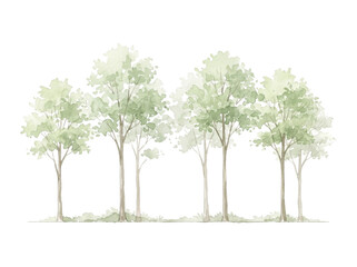 Watercolor Tree Line Cad Elevation Vector Illustration for Architectural Landscape Design © RandikaCreations