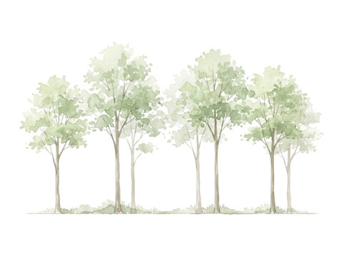 Watercolor Tree Line Cad Elevation Vector Illustration for Architectural Landscape Design