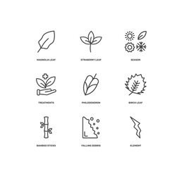 nature icon set with magnolia leaf, straberry leaf, season, element signs in flat outline style © Abstract
