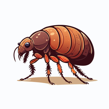 Cartoon Illustration of a Flea