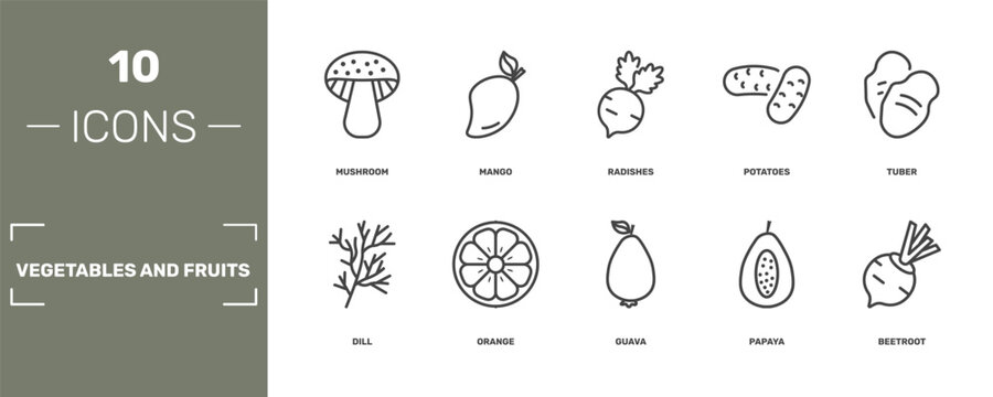 vegetables and fruits icon set with mushroom, mango, radishes, beetroot signs in flat outline style