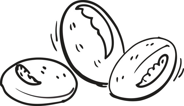 Three hand drawn coffee beans isolated on white background