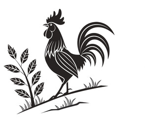 rooster isolated on white © MdShomrat