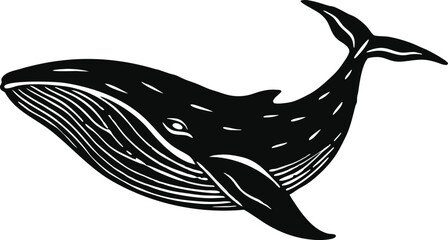 silhouette of a whale © MdShomrat