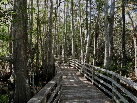 CS boardwalk