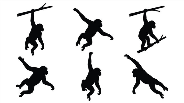 Monkey silhouettes climbing and jumping Vector