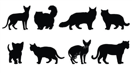 Obraz premium Black silhouettes of various cats and a dog Vector