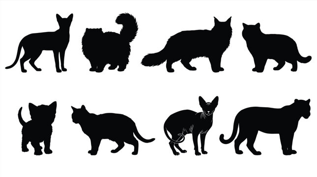 Black silhouettes of various cats and a dog Vector