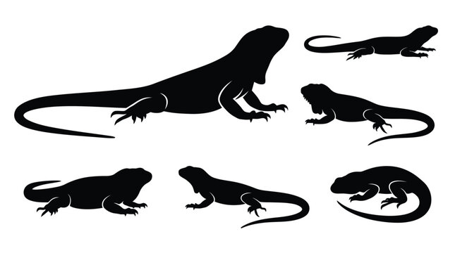 Black silhouettes of lizards in various poses Vector