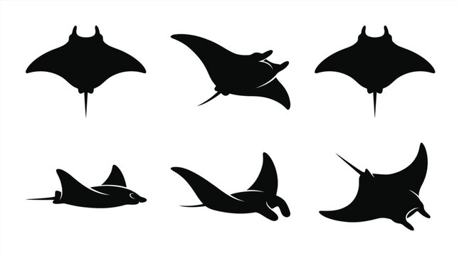 Black silhouettes of manta rays in different poses Vector