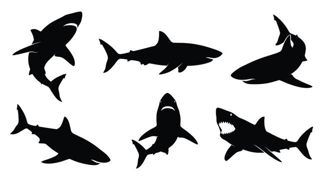 Black shark silhouettes on white background Vector