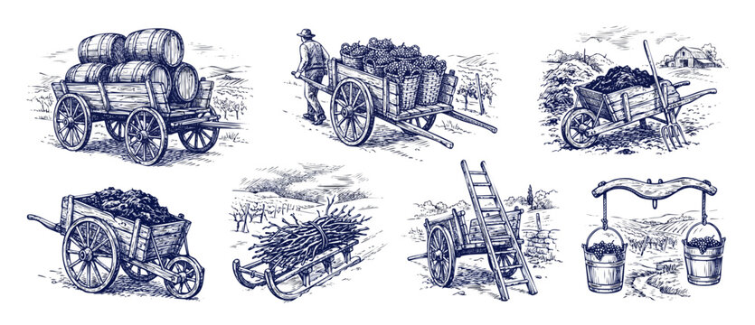 Vintage farm cart engraving illustration with rustic wooden wheelbarrow, wine barrels, grape harvest buckets, and traditional agricultural tools hand drawn in classic sketch vector style.