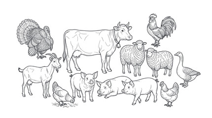 Obraz premium Various farm animals, including a cow, pig, sheep, turkey, goat, chicken, rooster, and goose, are depicted in a detailed line art illustration on a clean white background
