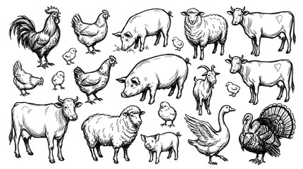 Obraz premium Various hand-drawn farm animals, including chickens, pigs, cows, sheep, and a turkey, depicted in a classic sketch style on a clean white background
