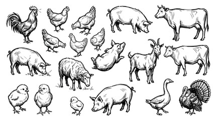 Obraz premium Various black and white farm animals, including pigs, chickens, cows, and a rooster, are depicted in a hand-drawn sketch style on a clean white background