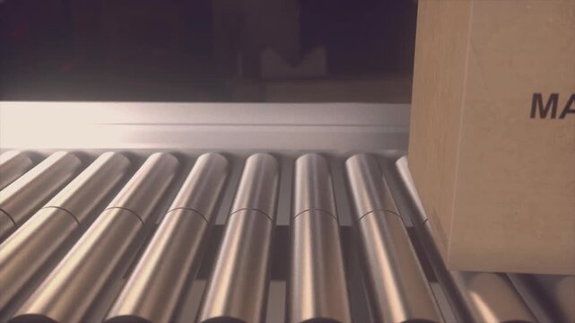Cardboard Box Made In India Moving On Industrial Conveyor