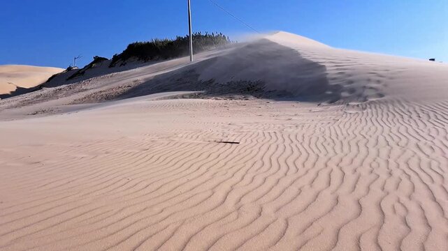 dunas com vento na ilha de Florian&oacute;polis